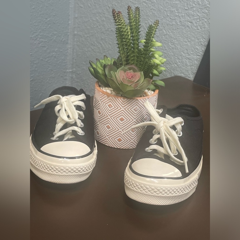 Chuck Taylor Slide Ons Size 6 LikeNew only worn a few times Ask me any questions